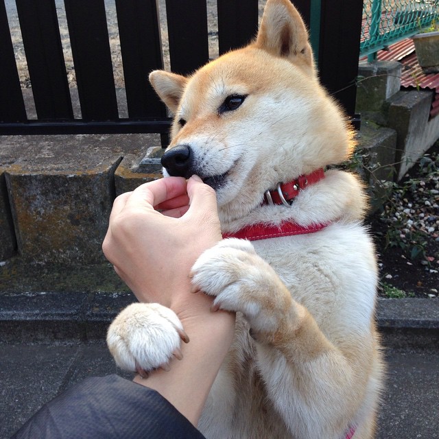 NBA球员表现高低起伏的周期性与体能储备关联,nba球员身体巅峰期