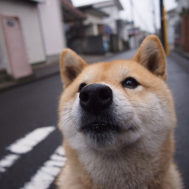 新赛季目标清晰明确,新赛季什么时候拿标